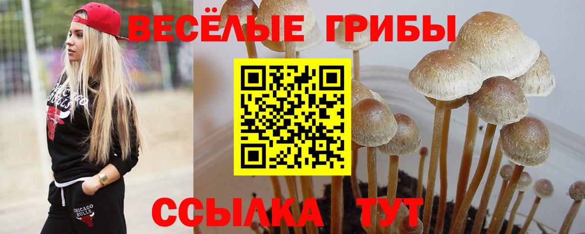 Галлюциногенные грибы MAGIC MUSHROOMS Аргун